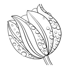 hand drawn vector illustration of an apple