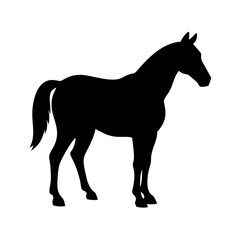Horse silhouette vector art drawing equestrian animal design graphic equine illustration image