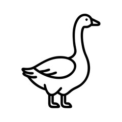Goose outline drawing vector illustration of waterfowl bird line art design isolated on white background