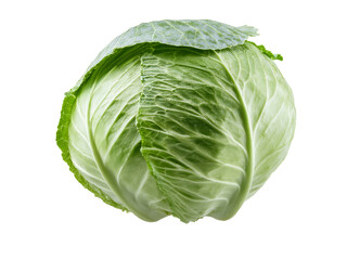 Fresh green cabbage isolated on transparent background