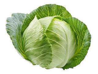 Obraz premium Fresh green cabbage isolated on transparent background