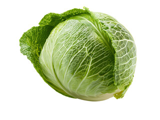 Fototapeta premium Fresh green cabbage isolated on transparent background