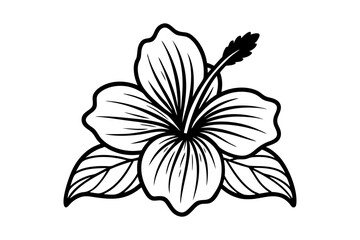 Hibiscus Bloom Line Art
