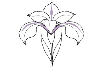 Iris Flower Line Drawing