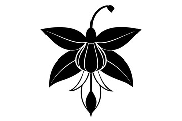 Fuchsia Botanical Line Drawing