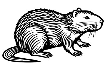 Beaver Wildlife Outline Drawing