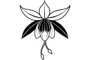 Fuchsia Bloom Outline Sketch