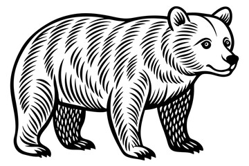 Bear Outline Nature Art