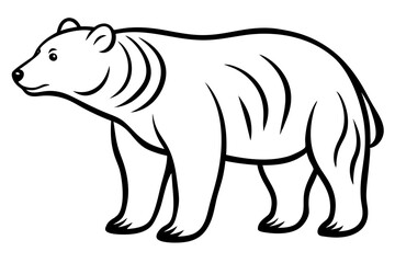 Bear Animal Line Drawing