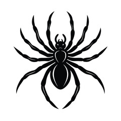 Isolated Spider on White Background For Hallowen