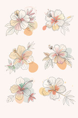 Six hibiscus flowers display line art with soft color fill and abstract shapes