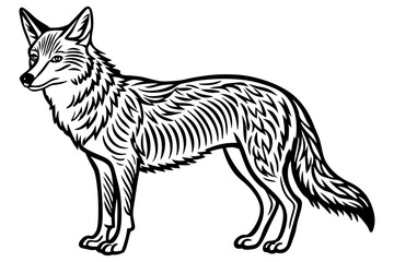 Fototapeta premium coyote outline in line art