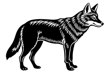 coyote line silhouette drawing
