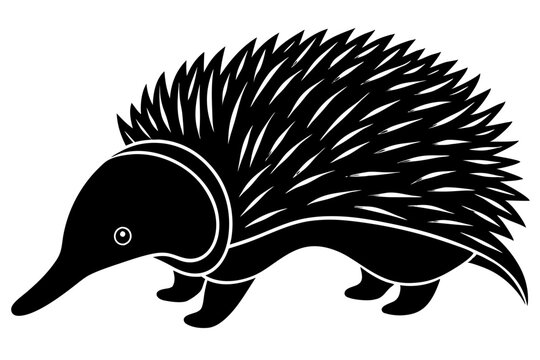 line drawing of an echidna