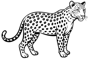leopard silhouette line art
