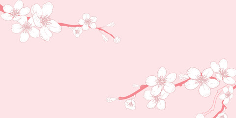 Vector horizontal pink background with line art of sakura branch with flowers. Hand drawn cherry branches. Vector illustration.