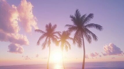 Fototapeta premium Serene Sunset Palm Trees Silhouette at Tropical Beach
