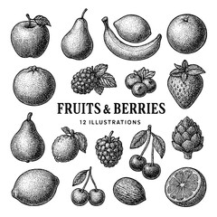 Engraved illustration of assorted fruits and berries on a transparent background featuring detailed designs and botanical accuracy