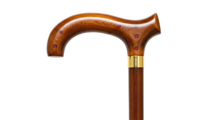 Isolated Walking Stick