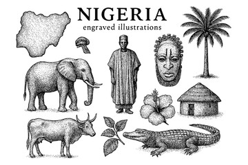 Illustrations showcasing the diverse culture and wildlife of Nigeria in an intricate engraved style with a monochromatic palette