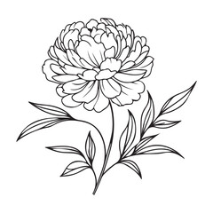 Simple dahlia flower vector art singleline art