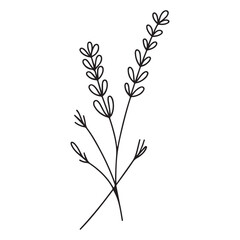 Simple lavender flower singleline art