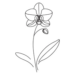 Simple orchid flower vector art singleline art
