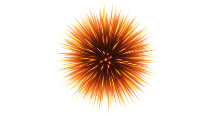 Isolated Burst of Golden Light