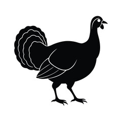 silhouette of turkey walking in profile