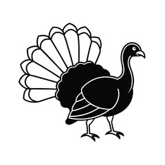 silhouette of turkey with fanned tail feathers