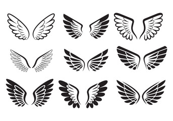 Fototapeta premium Set of detailed wing icons in black and white styles