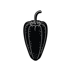 bell pepper vector illustration