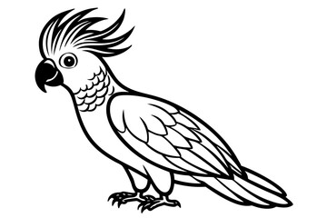 Fototapeta premium Cockatoo Outline Illustration