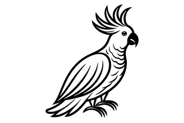 Fototapeta premium Cockatoo Minimalist Art