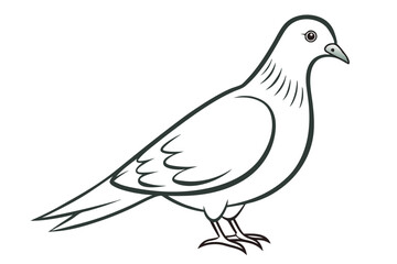 Dove Outline Illustration