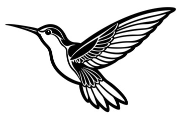 Fototapeta premium Hummingbird Line Silhouette Drawing