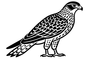 Fototapeta premium Northern Harrier Minimalist Bird Art