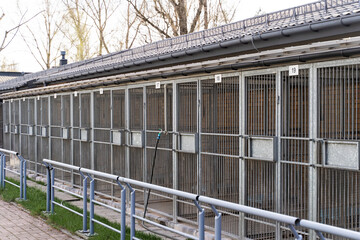 Exterior view of animal shelter kennels showing multiple metal cages. Dog rescue facility with numbered outdoor kennels and fencing. Animal shelter with caged kennels for stray and rescue dogs.