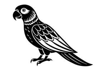 Obraz premium Parrot Vector Line Drawing