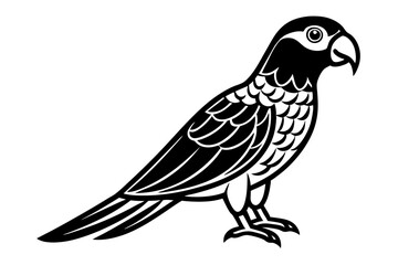 Obraz premium Parrot Minimalist Bird Illustration