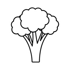 Vector Silhouette of Broccoli Florets on Stem