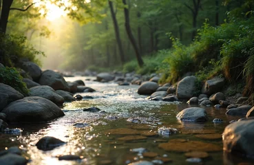 Foto op Plexiglas Morning forest stream. Clear shallow river flows in rocky bed through green forest. Sunlight shines, creates reflections in the water. Hiking, travel, eco tourism, peace, meditation concept. © Maryna