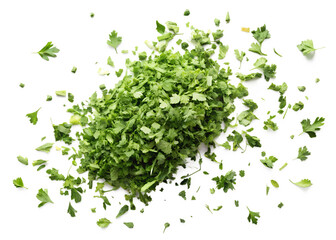 Obraz premium fresh green lettuce