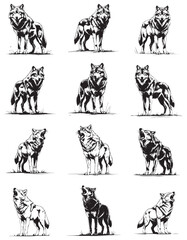 Wild vector illustration of wolf