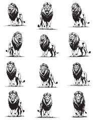 Wild vector illustration of lion