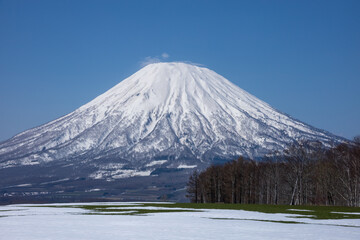 Fototapeta premium Mount Yotei in Spring