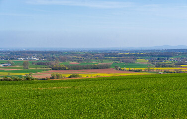 Fototapeta premium Agrar-Landschaft bei Bürvenich, Zülpich