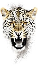 Fototapeta premium Detailed High Quality Vector Illustration of Fierce Leopard Face with Open Mouth Displaying Sharp Teeth Realistic Big Cat Dangerous Wildlife Art Design for Print and Web