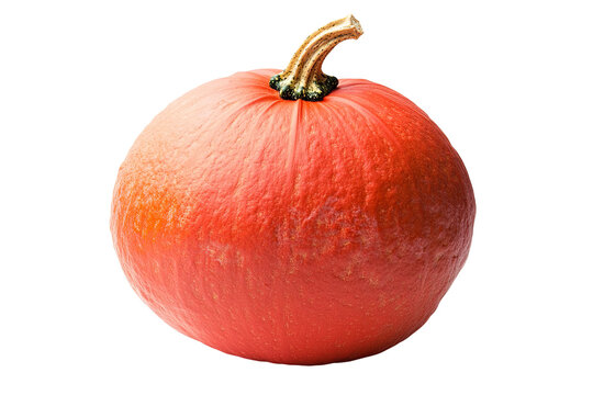 A round, orange pumpkin with a curled stem sits against a transparent background. Vivid, natural tones and textural detail are present