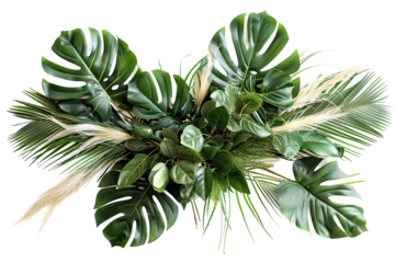 Lush foliage, monstera leaves, ferns, and feather accents against transparent background